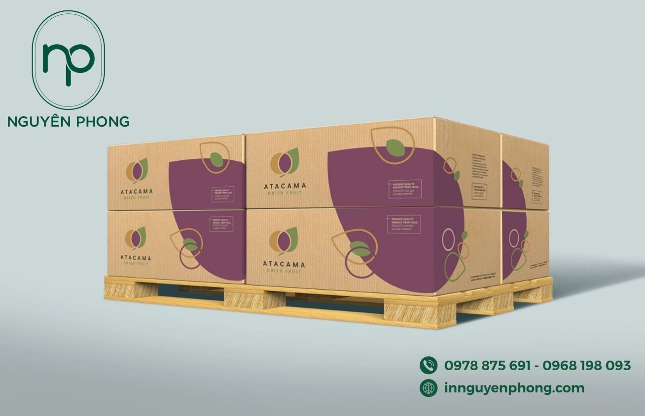 Thùng carton đựng mận sấy 